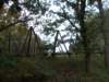 dscn2706_small.jpg