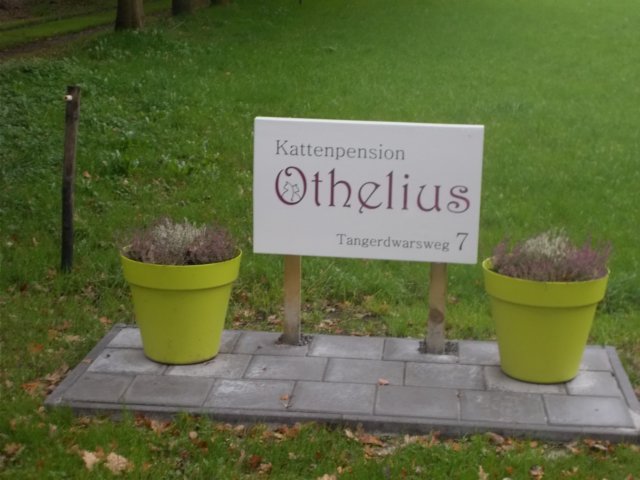 dscn2730.jpg