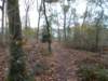 dscn3021_small.jpg