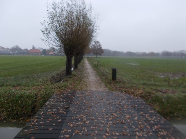 dscn3488.jpg