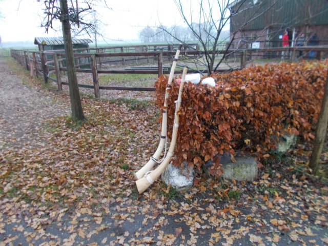 dscn3509.jpg