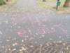 dscn3532_small.jpg