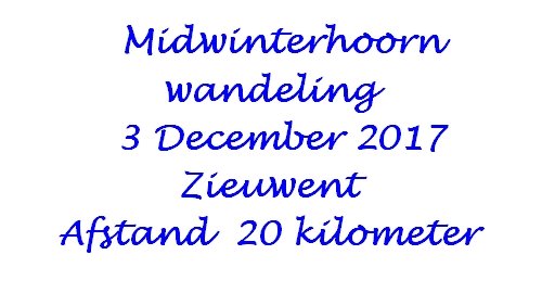 midwinterhoornwandelingtezieuwent.jpg