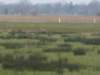 dscn0230_small.jpg