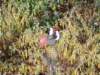 dscn2028_small.jpg