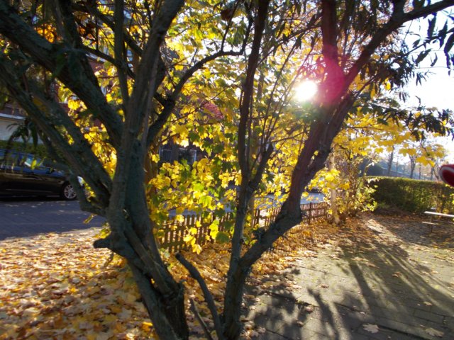 dscn2203.jpg