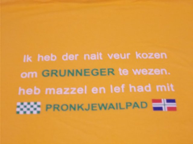 tekstachterzijdetshirt.jpg