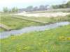 dscn1289_small.jpg