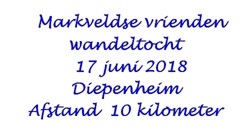 markveldsevriendenwandeltochttediepenheim.jpg