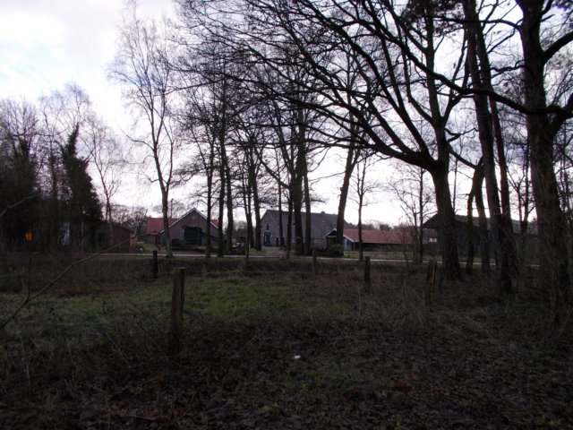 dscn0096.jpg