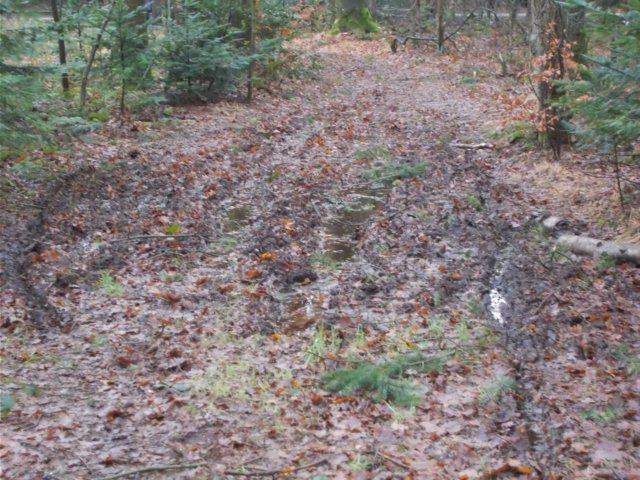 dscn0103.jpg