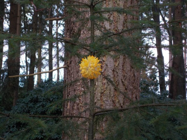 dscn0112.jpg