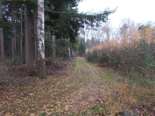 dscn2249.jpg