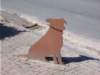 dscn1499_small.jpg
