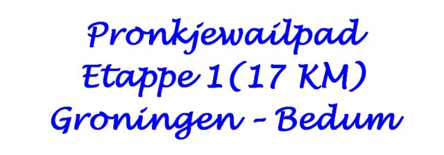 pronkjewialpadetappe1vangroningennaarbedum.jpg