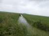 dscn2521_small.jpg