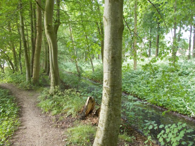 dscn2614.jpg