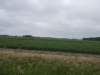dscn2780_small.jpg