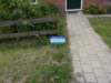 dscn2975_small.jpg