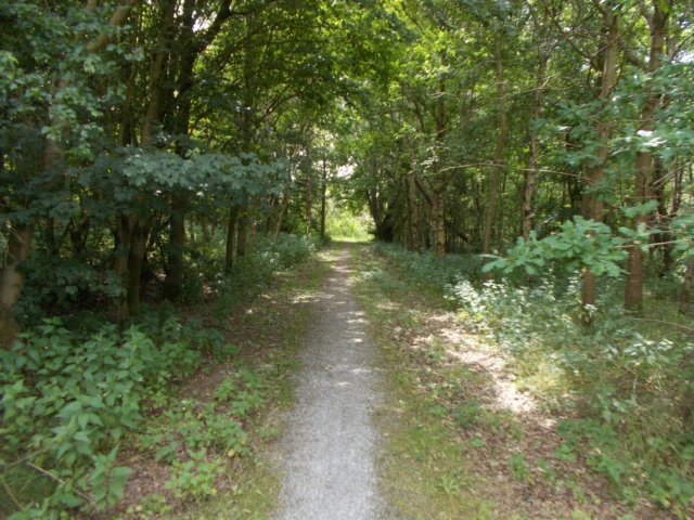 dscn3068.jpg