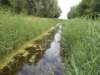 dscn3081_small.jpg