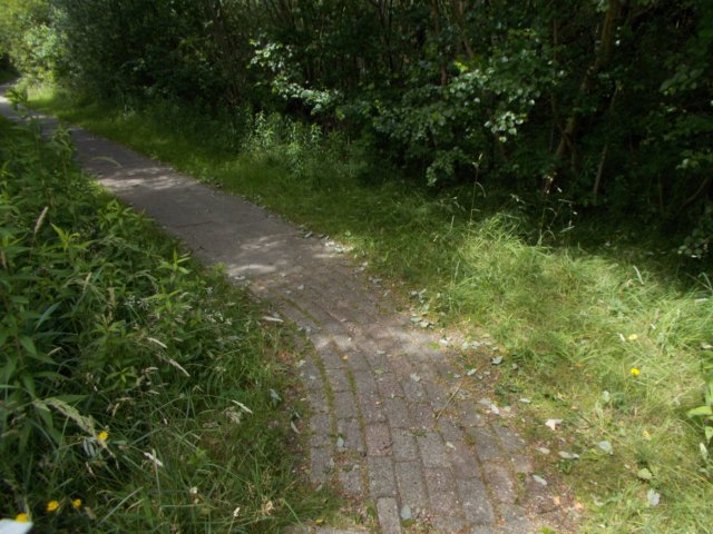 dscn3094.jpg