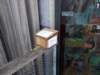 dscn3109_small.jpg