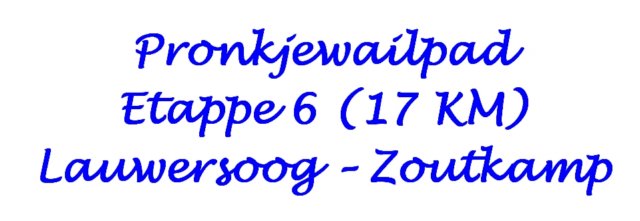 pronkjewailpadetappe6vanlauwersoognaarzoutkamp.jpg