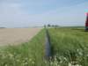 dscn1807_small.jpg