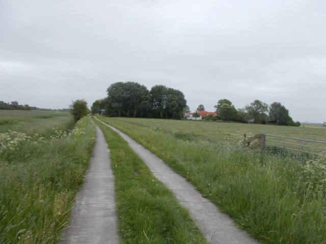 dscn1973.jpg