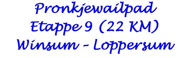 pronkjewailpadetappe9vanwinsumnaarloppersum.jpg