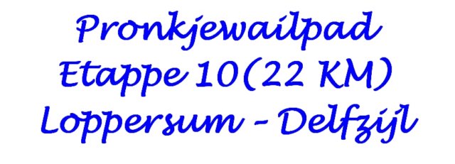 pronkjewailpadetappe10vanloppersumnaardelfzijl.jpg