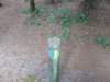 dscn0140_small.jpg