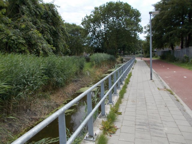 dscn0299.jpg