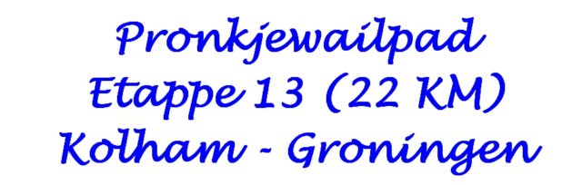 pronkjewailpadetappe13vankolhamnaargroningen.jpg