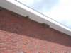 dscn0576_small.jpg