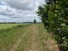 dscn0619_small.jpg
