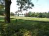 dscn0931_small.jpg