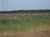 dscn1048_small.jpg