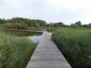 dscn1095_small.jpg