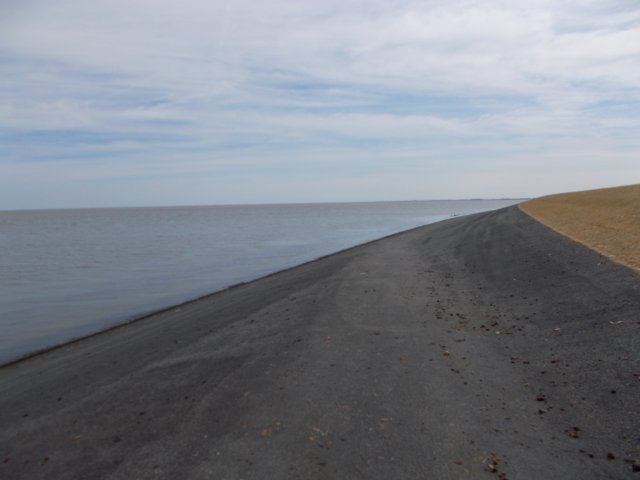 dscn1131.jpg