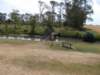 dscn1140_small.jpg