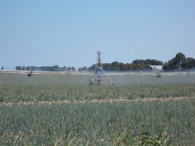 dscn1284.jpg