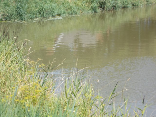 dscn1361.jpg