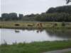 dscn1860_small.jpg