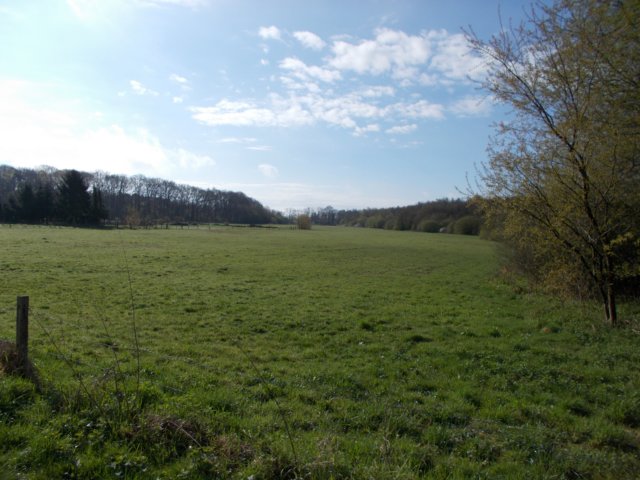 dscn1017.jpg