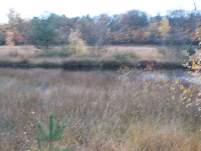 dscn2096.jpg