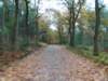 dscn2101_small.jpg