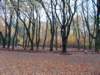 dscn2104_small.jpg