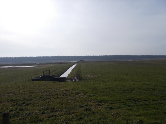 dscn0587.jpg